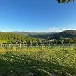 شقة Eckberg - Near Centre & Nature بادن بادن