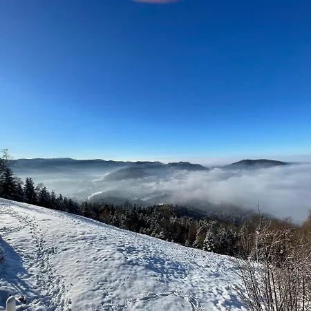 Eckberg - Near Centre & Nature 巴登-巴登