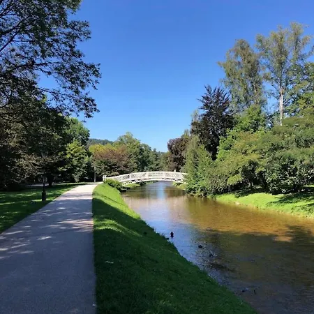 Eckberg - Near Centre & Nature 公寓 巴登-巴登