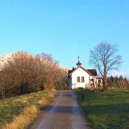 Eckberg Near Centre & Nature *