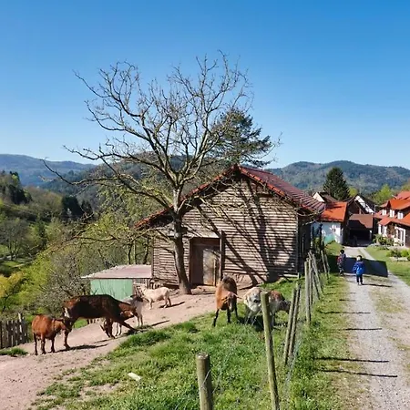 Eckberg - Near Centre & Nature *