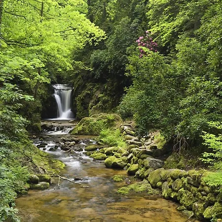 Eckberg - Near Centre & Nature Apartamento *